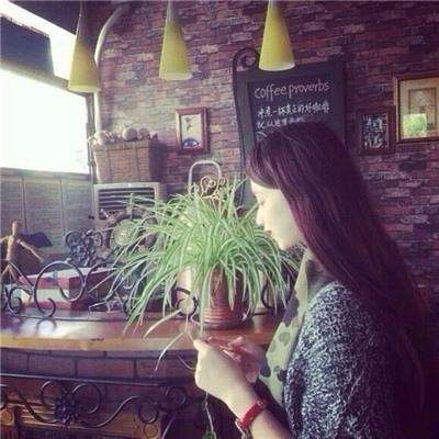 bob半岛平台下载